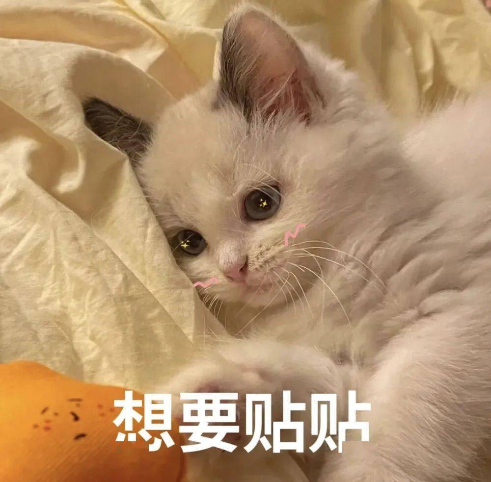 但谢谢你给我的甜9697生活偶尔会有不如意撒娇情侣表情包cr.