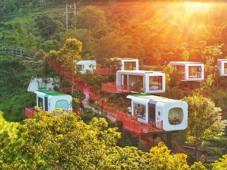 景迈山那些世外居停之所 令人耳目一新的惬意与自在_茶林_阿百腊_茶山