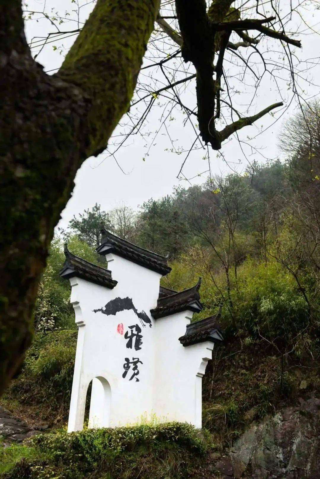 【富乐嵊州 越来越好】(瞬间·嵊州)青山有意随南雁