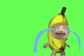 从风俗店打工,到春节迎财神,火遍全球的猫猫meme抄袭