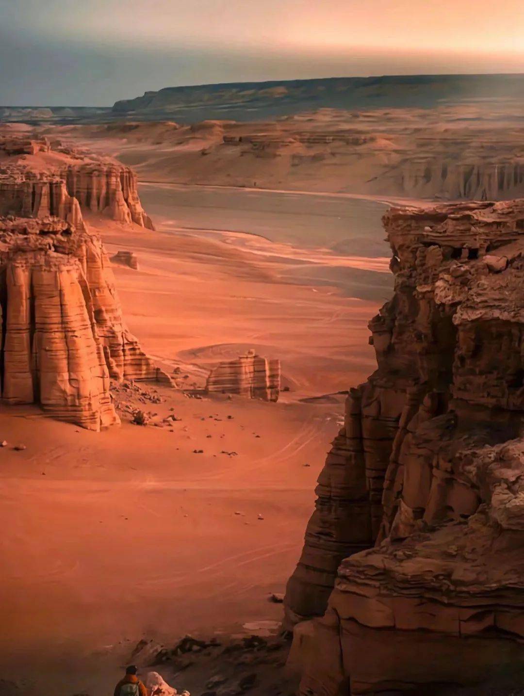 干旱多风区,包括柴达木盆地,疏勒河中下游,罗布泊周围以及吐哈盆地等