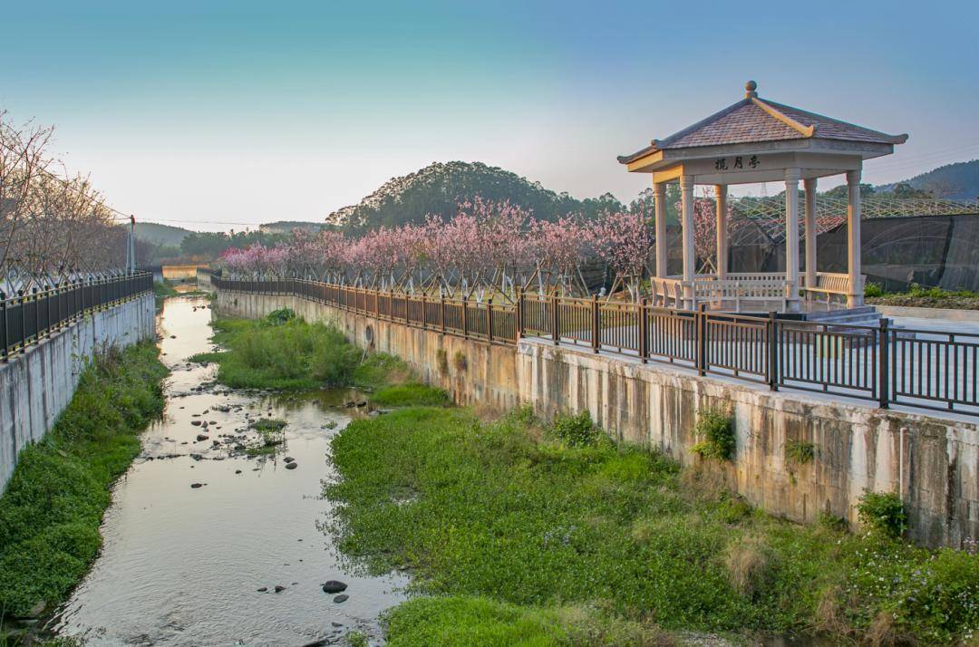 鹤山这些乡村游路线你去了吗→_共和镇_鹤城