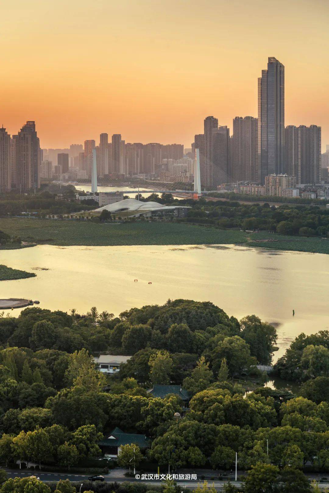 初五财神到,武汉接好了_庙会_汉阳_禅寺