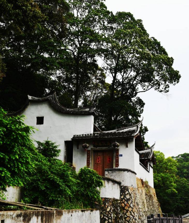 龍騰大武夷 | 古村落 白鴿島——樟湖鎮旅遊觀光打卡