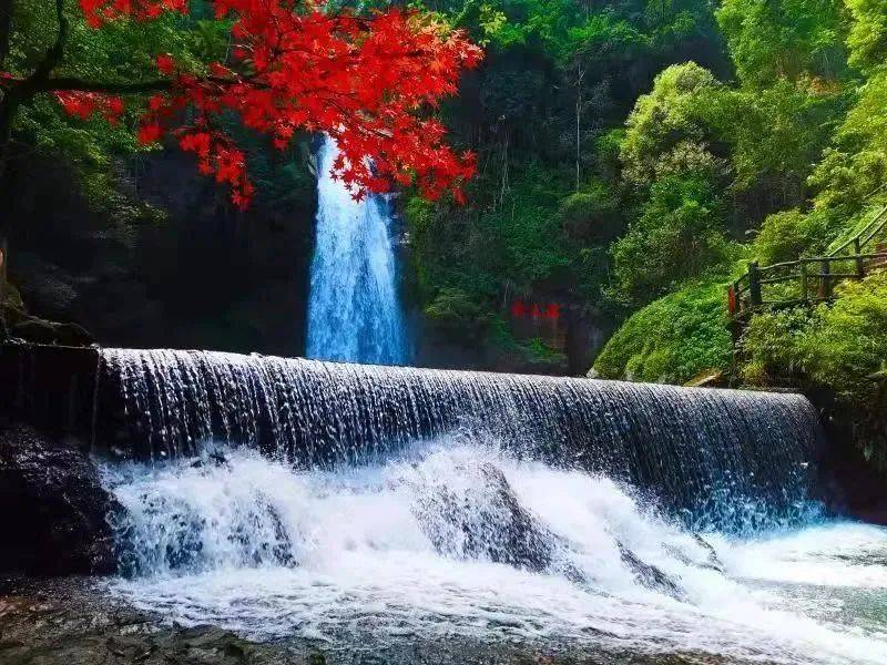 帶你開啟新年音樂之旅~_歌曲_峽谷