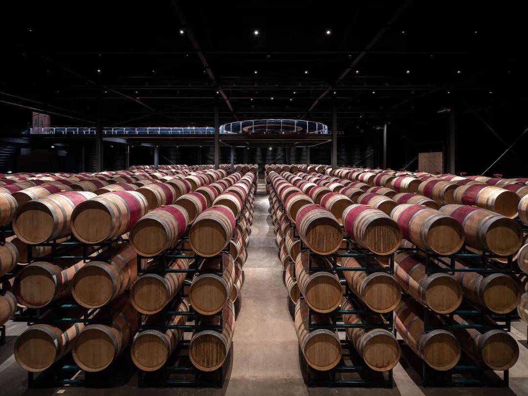 西鸽酒庄供图袁辉,1996年开始在贺兰山下种植防护林,2008年在废弃砂石