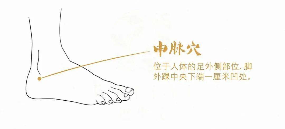 可调理身体一切疾病!_公孙穴_人体_作用