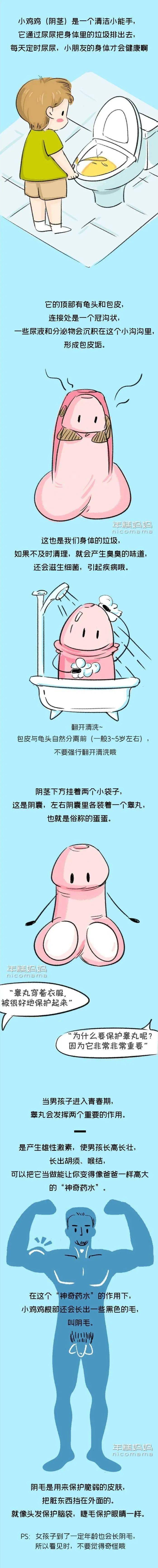 "为什么爸爸的小鸡鸡那么大,还长了很多毛?"别尴尬,帮