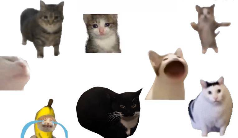 从风俗店打工,到春节迎财神,火遍全球的猫猫meme抄袭了多少人的逆天