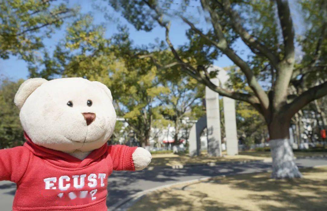 校园_未来的_华讯