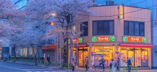 直接保送日本大学的语言学校,你确定不要?_东京_制度