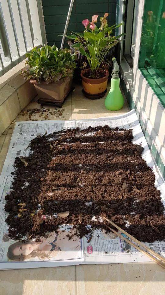 好好利用这些土壤,真能"种瓜得瓜,种豆得豆"!好多台友问台长