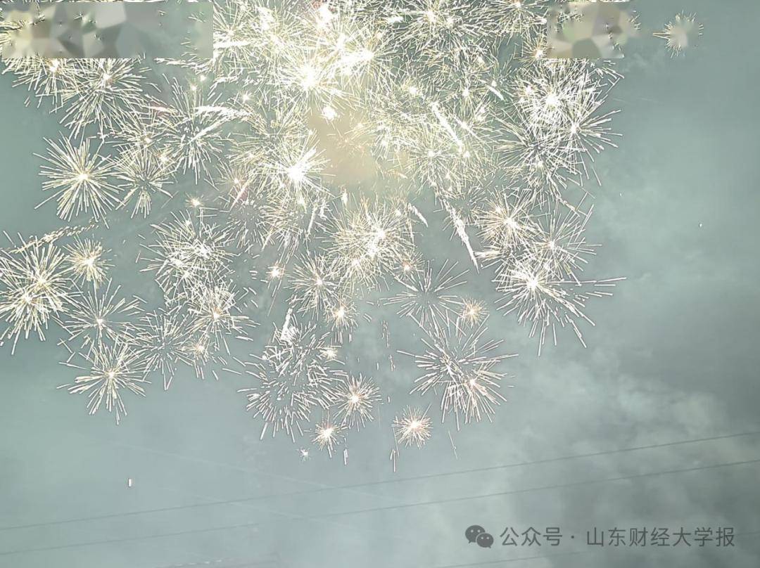 06体育学院 王雯锦年味,是点燃夜空的一颗颗烟花,是噼里啪啦的爆竹声