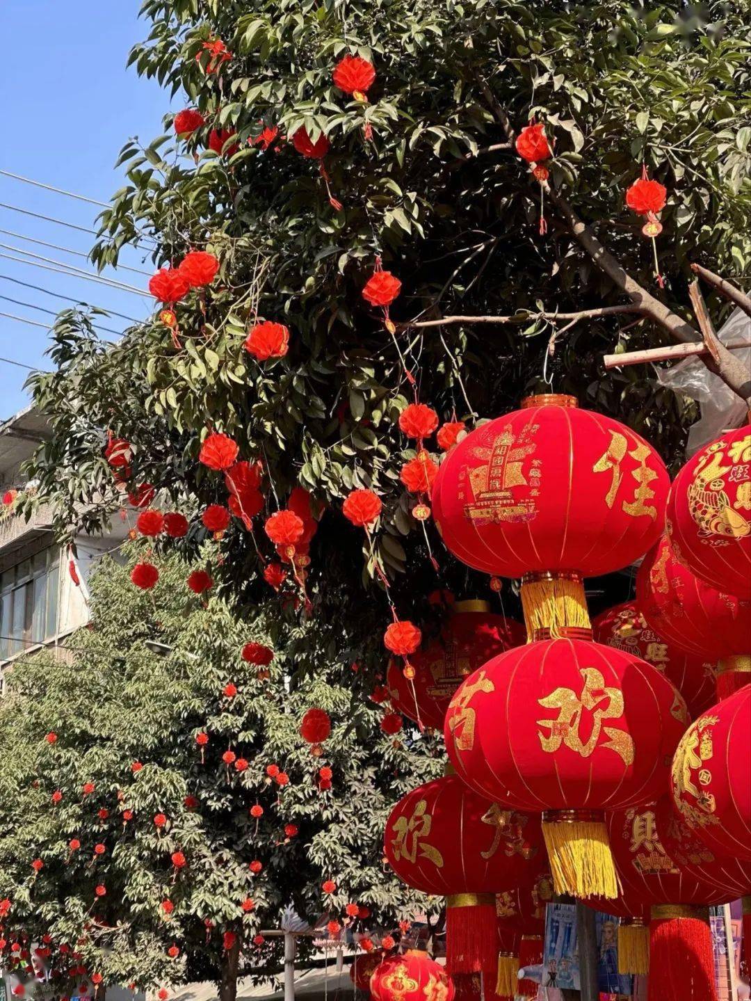 摆满了挂满了红灯笼热闹非凡的街道上城市年味儿正浓到账第三笔之城市