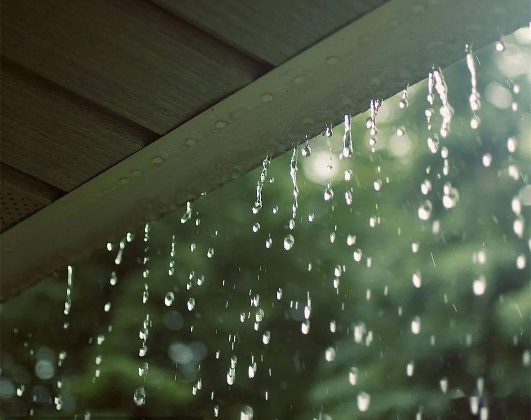 陈皮食谱:雨水节气养生重点——疏肝,祛湿,健脾