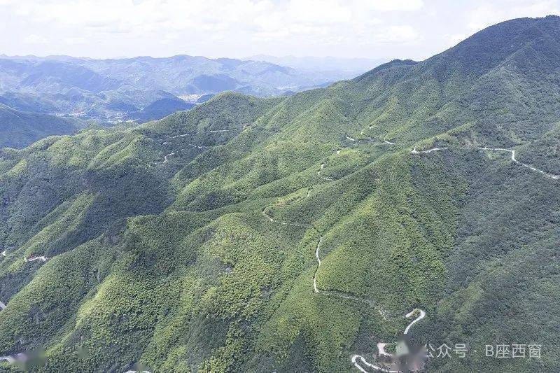锦绣中国年 | 小楚的心愿_龙王山_保护_越野