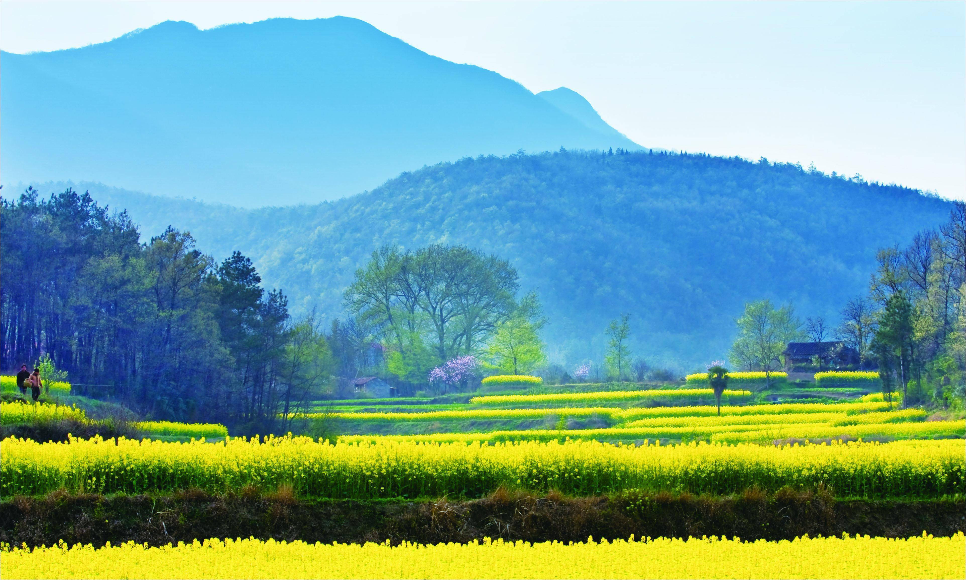 春天 真实风景图片图片