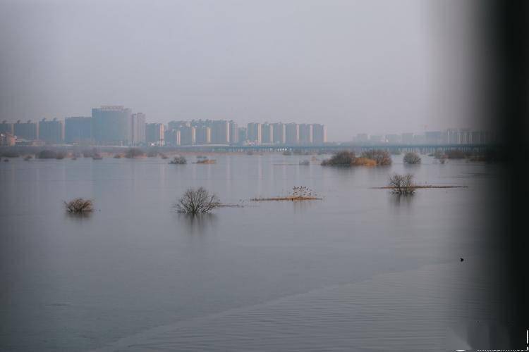 组图| 沂河印象:水清野鸭舞,生态美景引人醉_临沂_成为了_娱乐