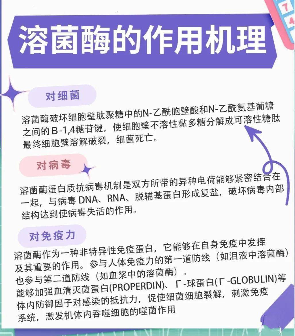 溶菌酶:被称为绿色抗生素,分不清细菌病毒时可用