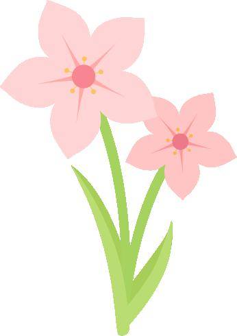 马沐悦 孙艳丽 马秀琴 谢心田 纪子卿 何鲜樱 孙艳丽许凌馨 张静文字