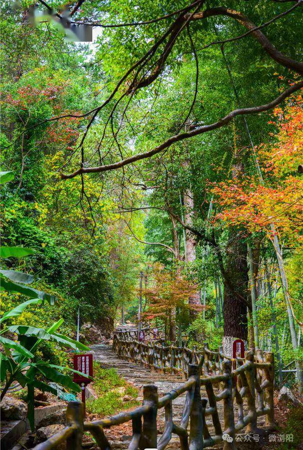 浏阳道吾山上,这个文旅项目开工!