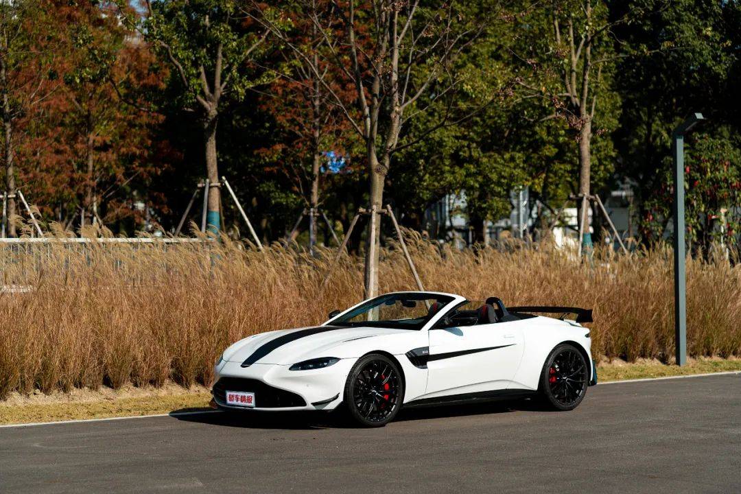 富有眼光且着迷 阿斯顿·马丁 vantage roadster f1 edition