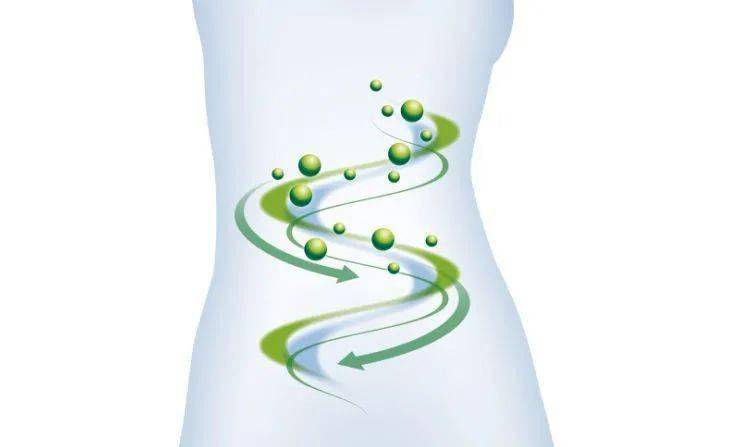 快给肠道洗洗澡!喜迎健康,身心舒畅!人人适用~_山楂_调整_食物