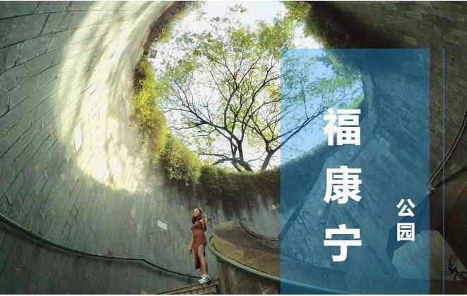 广场_旅行_大树