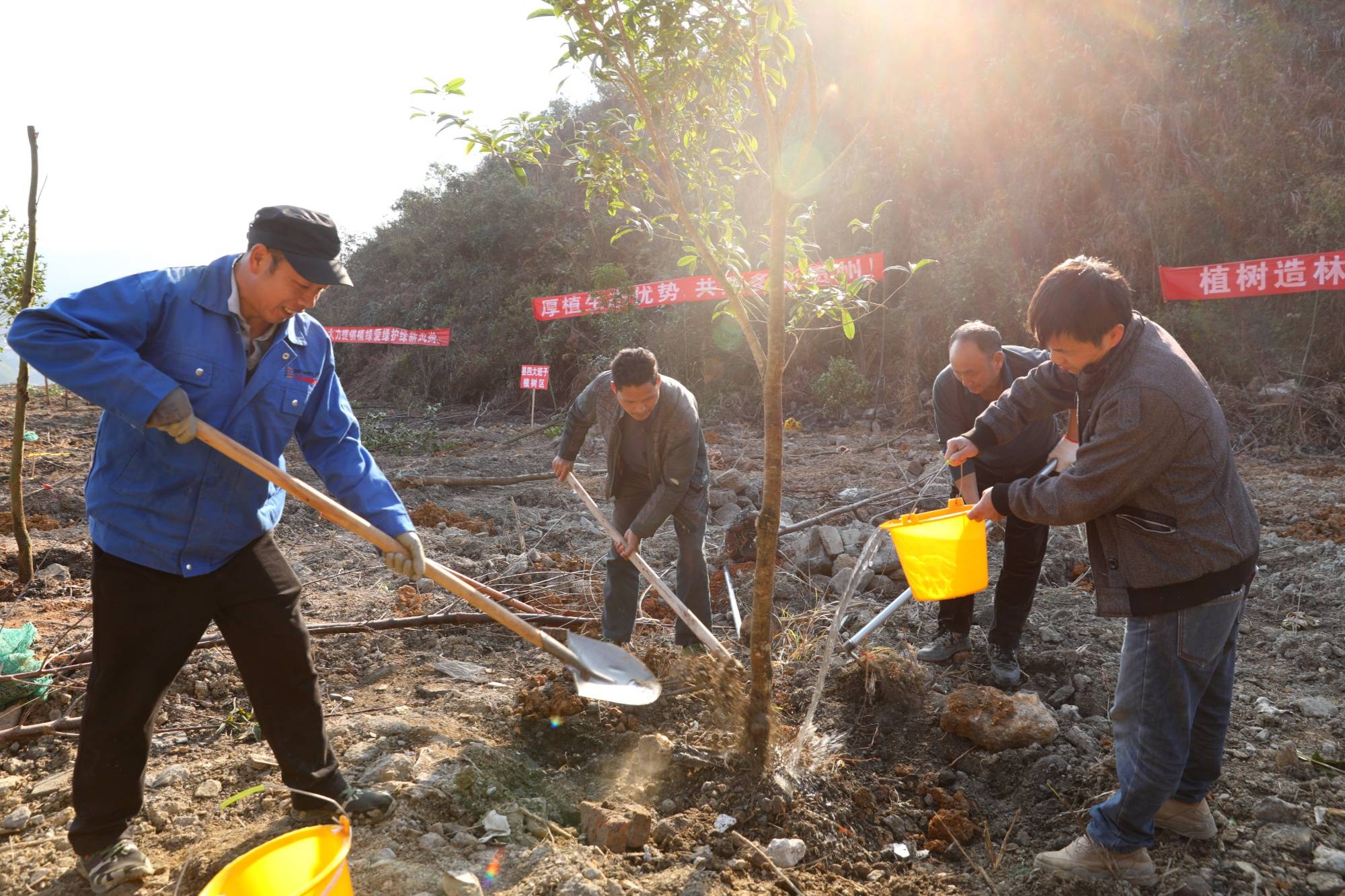 贵州剑河 义务植树添新绿 种下新年新希望