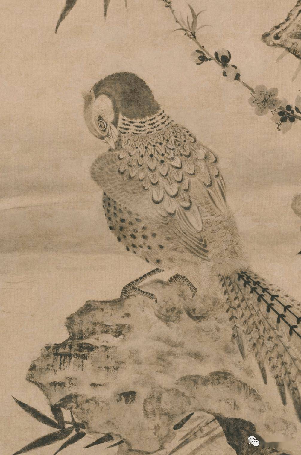 元王渊《桃竹锦鸡图》_水墨_故宫博物院_花鸟