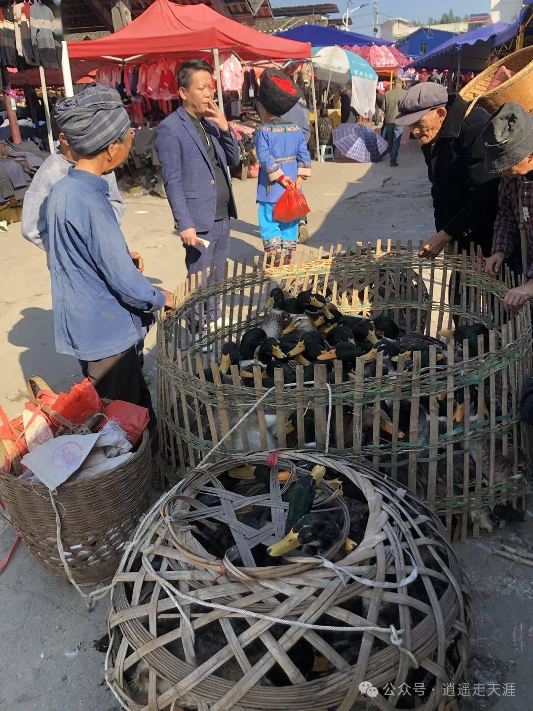 湘西赶集(附攻略)_集市_逢五_逢一