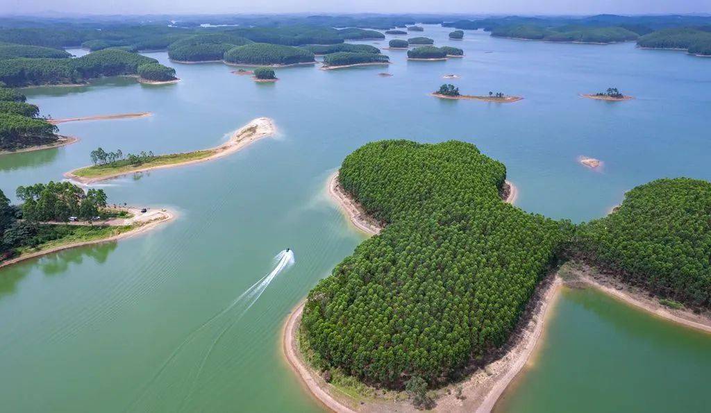 北海是如何做到的?_洪潮江水库_西门_整治