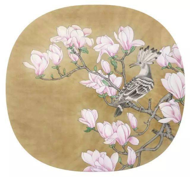 一学就会画工笔团扇《玉兰戴胜图》_树枝_步骤_羽毛