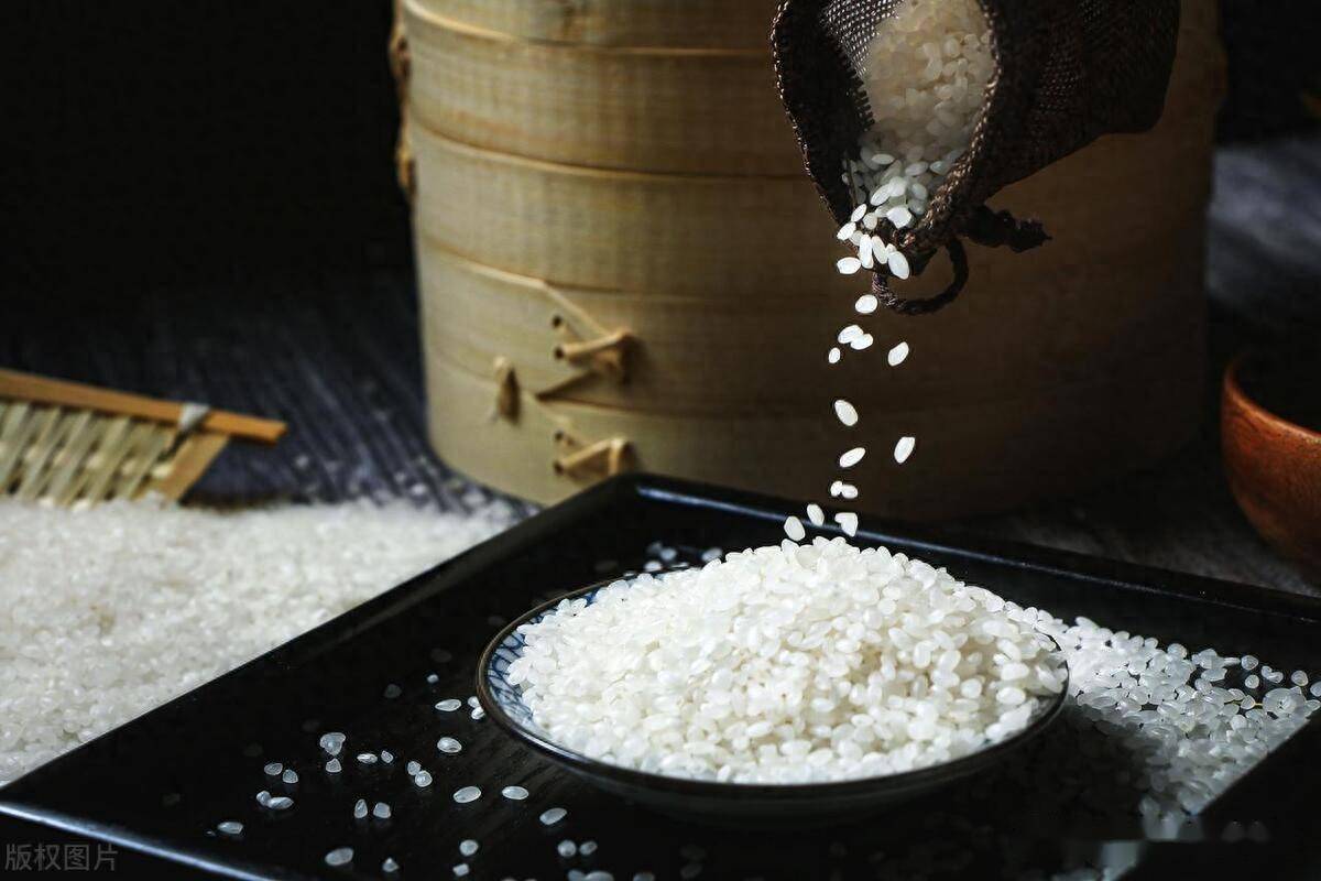 因为苏童的《米》,认识苏米,品尝苏米,爱上苏米_水韵苏_征文_评选