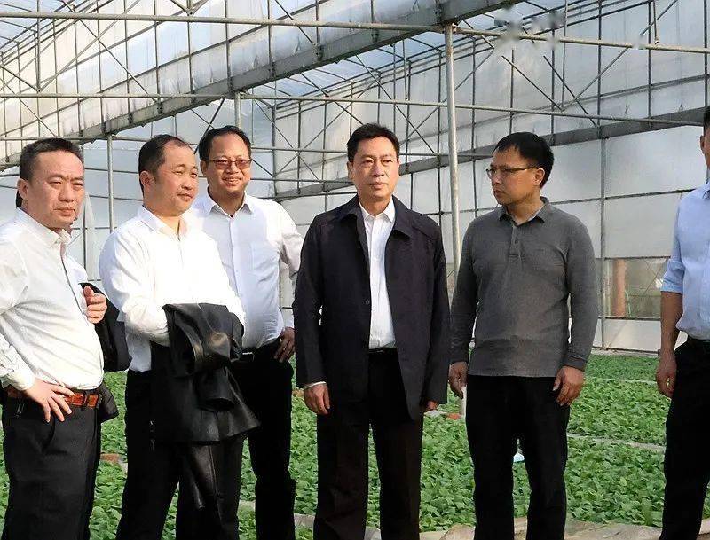 2月19日,县委副书记,县长黄永英深入新圩镇,石羊镇,三井镇调研指导
