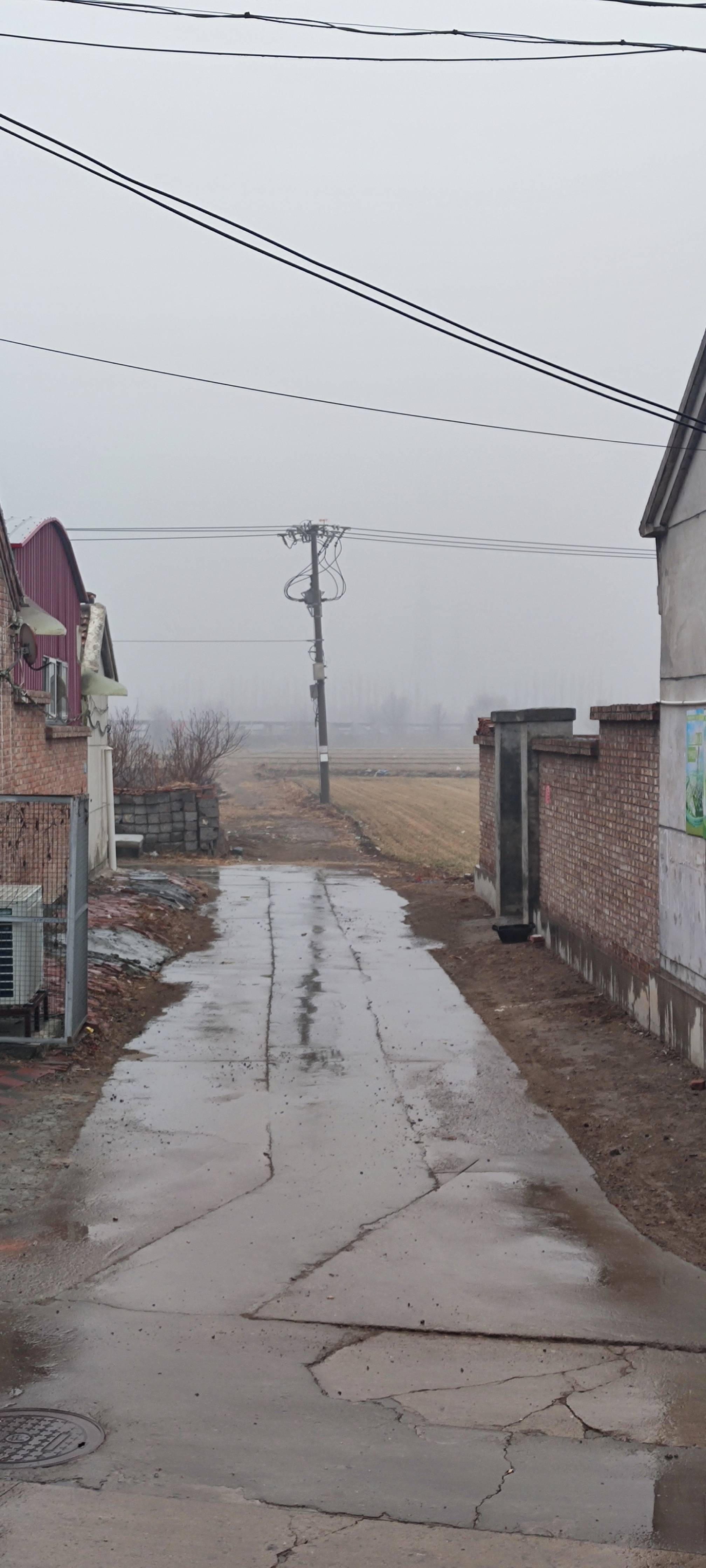 春雨作品类别:图片参赛身份:单位单位机构:天津市武清区梅厂镇小侯庄