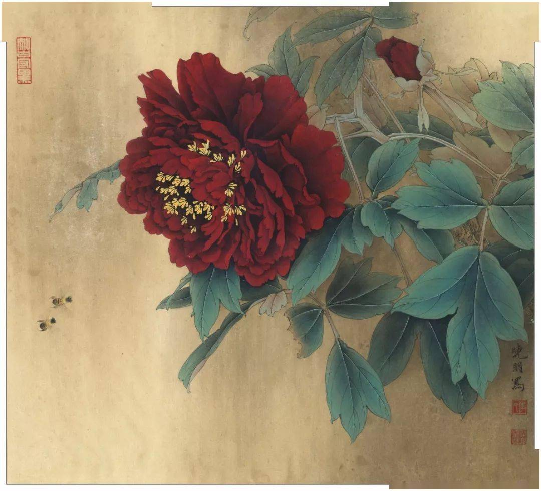 【国画教程】李晓明工笔牡丹《大宋紫》绘制步骤图!_花头_画面_的整体