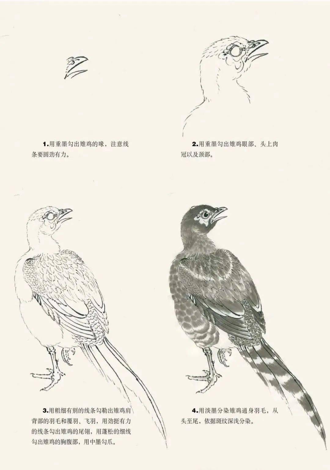 值得收藏!禽鸟写意技法大汇总