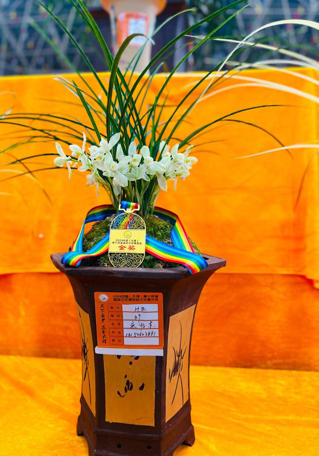 春日盛会,2024中国(大理)第十四届国际兰花茶花博览会今日开幕!