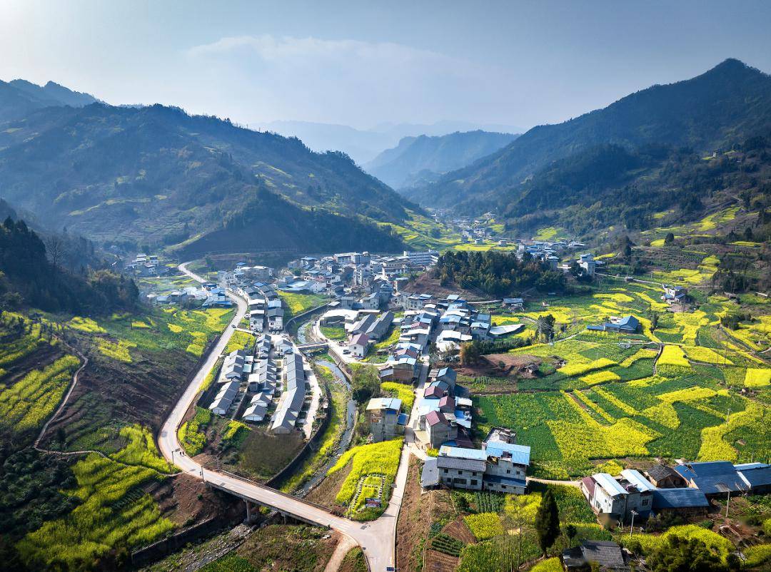 到桃溪村赏油菜花去_巡礼_hello_微风