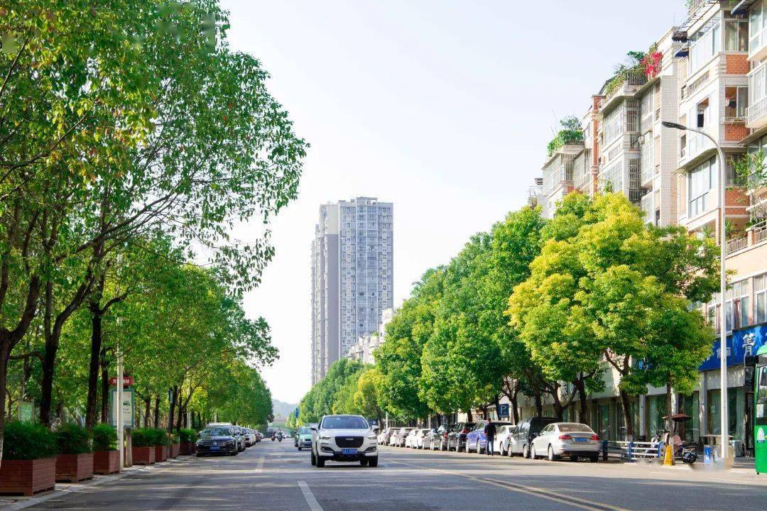 全会精神解读:打造"三座城" 加快推进简阳现代化建设_城市_智慧_发展