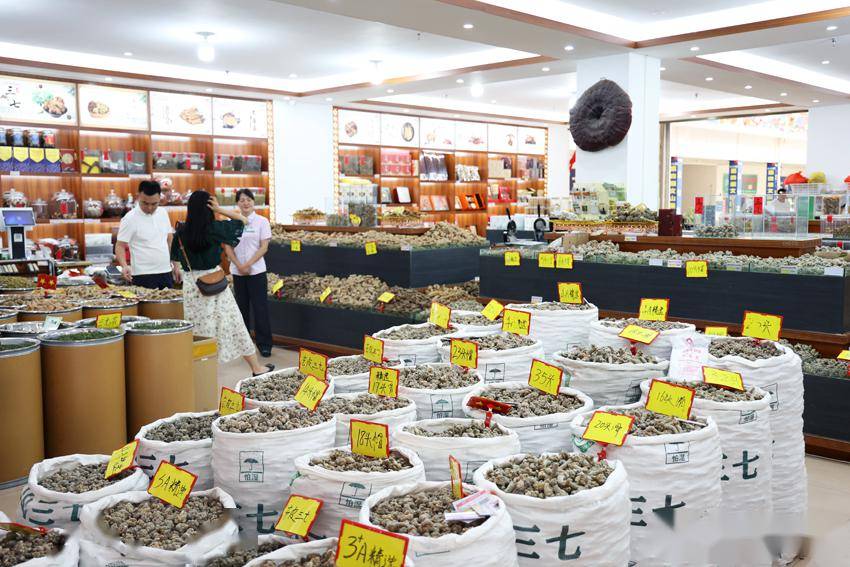 新春伊始,走进云南省文山壮族苗族自治州文山市三七国际交易市场,人声