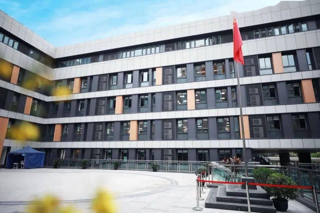 【百年"中华"·管理】寄语新学期,欣欣向"龙"年——渝中区中华路小学