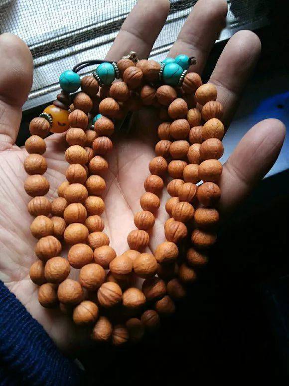 路边就能摘,包浆后馋哭所有人!_榆叶梅_盘玩_文玩