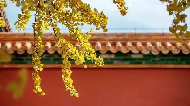 元曲中的秋天,原来这么美_黄花_西风_元代