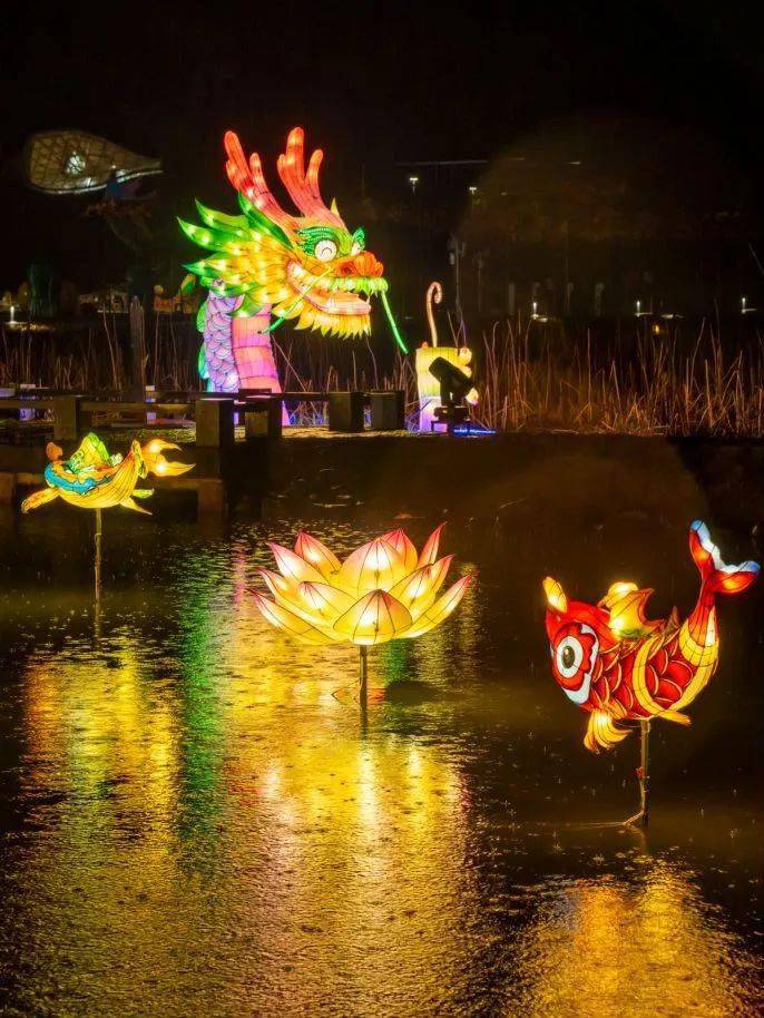 浙江各地赏灯攻略请收好_活动_内容_地点