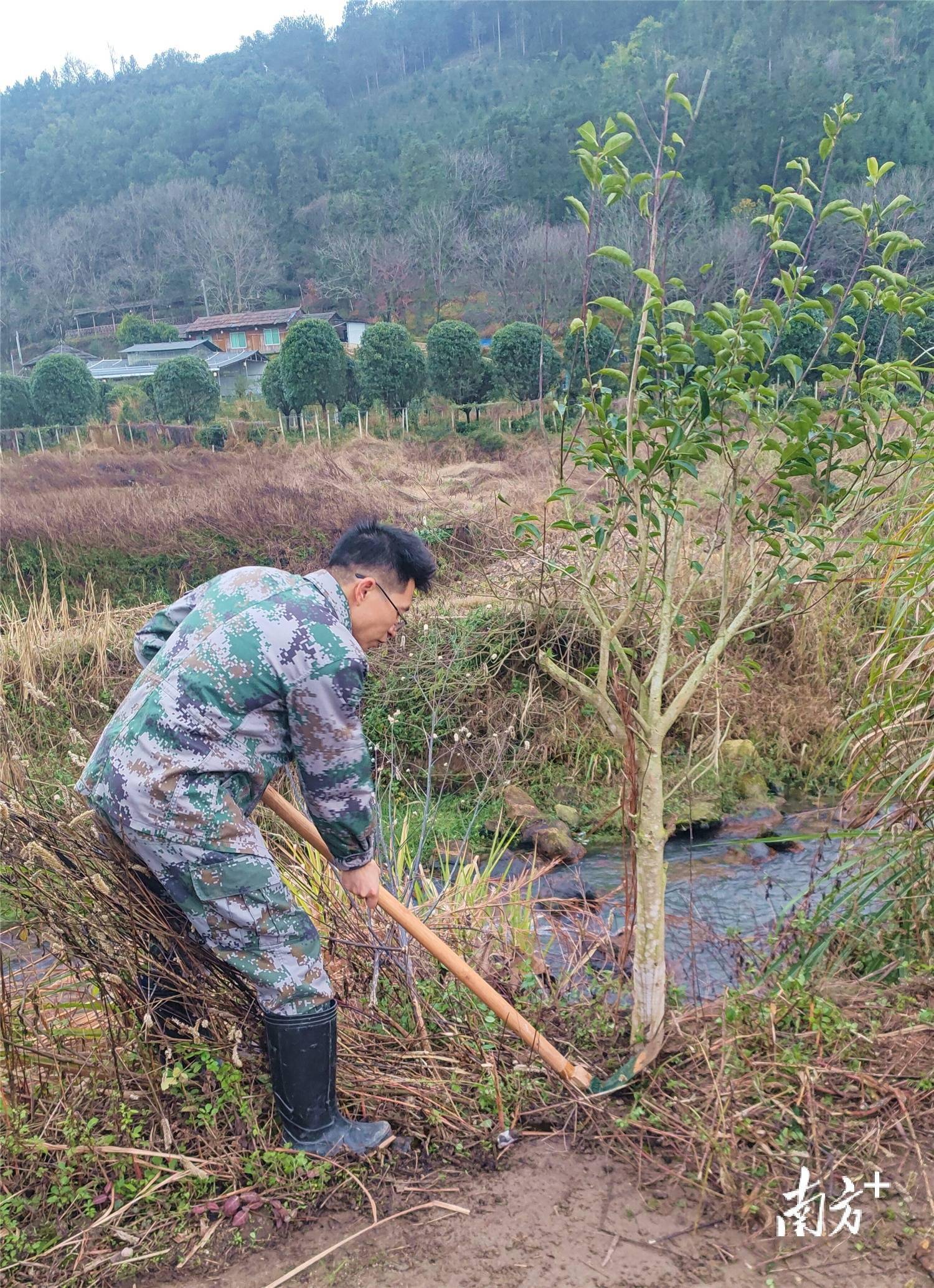 连南香坪民兵义务植树_建设_香坪镇_黄津