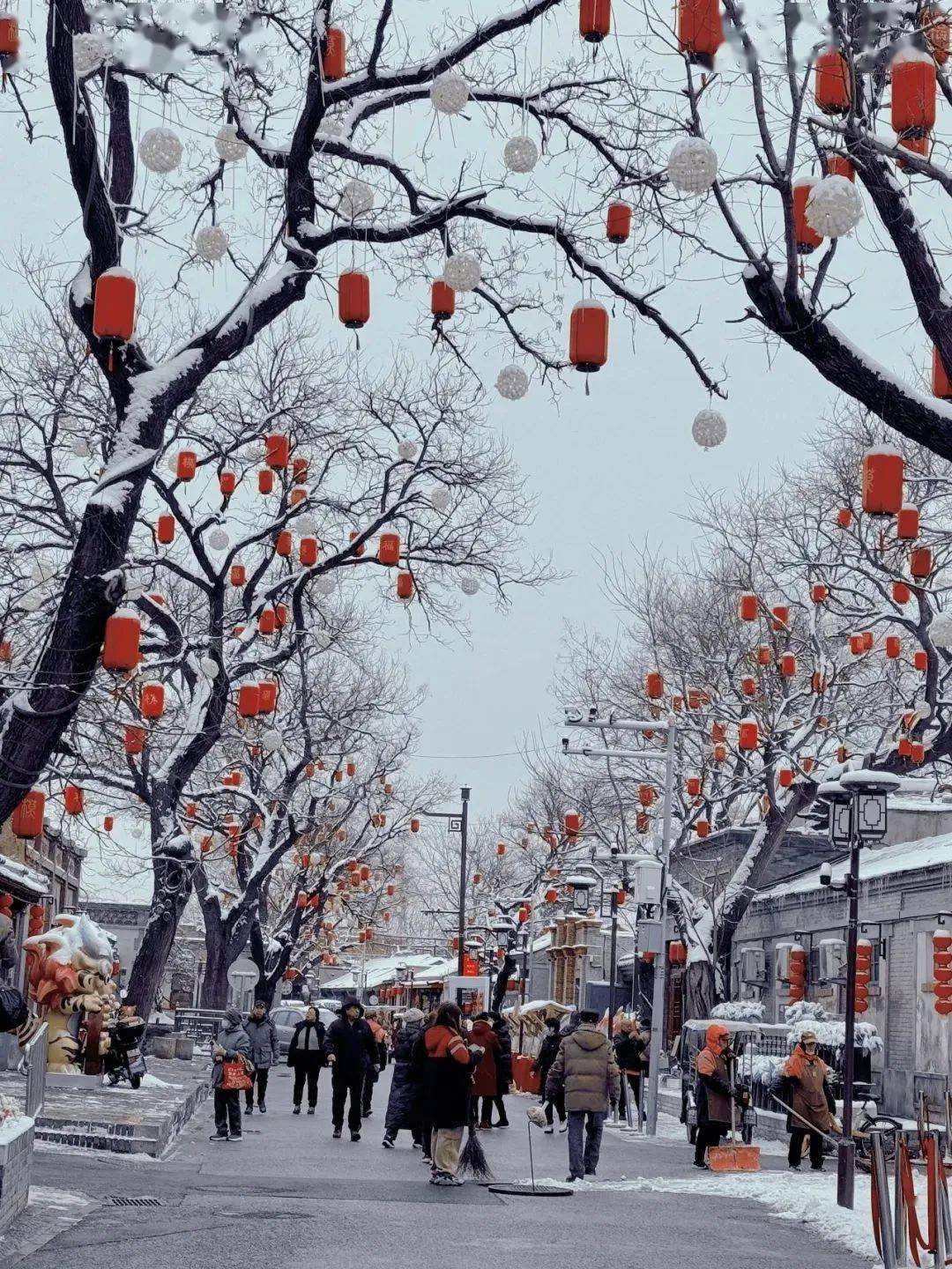 2022北京最美雪景图片