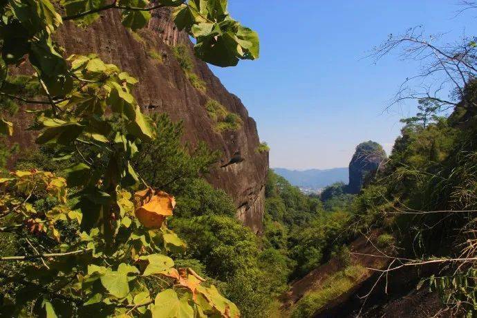 门票遇武夷-天游峰 户外茶席 九曲溪 武夷宫 虎啸岩/一线天 茶美学