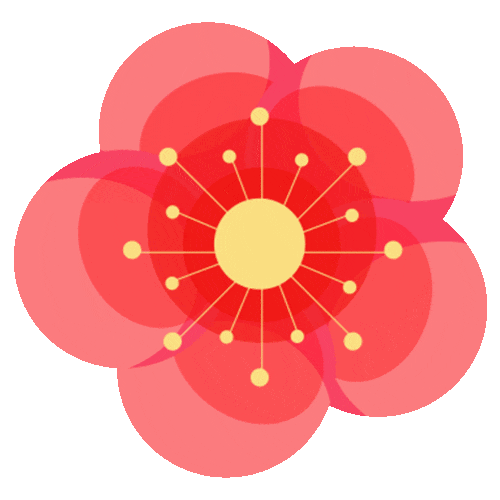 梅花_公园_枝头